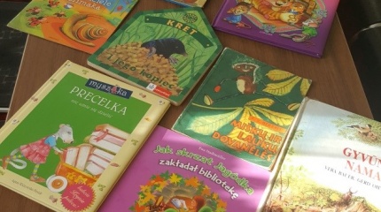 „Įsigilinę į paslaptingą medžių gyvenimą“