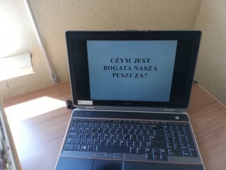 Kuo turtinga mūsų giria?