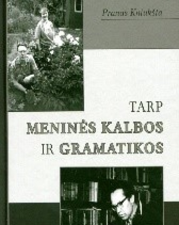 Tarp meninės kalbos ir gramatikos