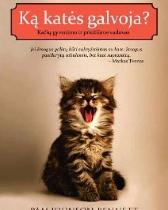 Ką katės galvoja? 