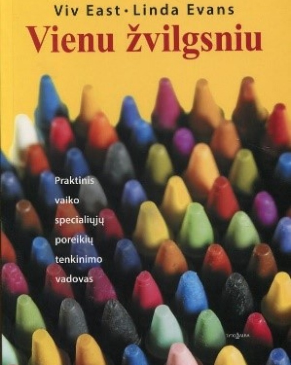 Vienu žvilgsniu : praktinis vaiko specialiųjų poreikių tenkinimo vadovas