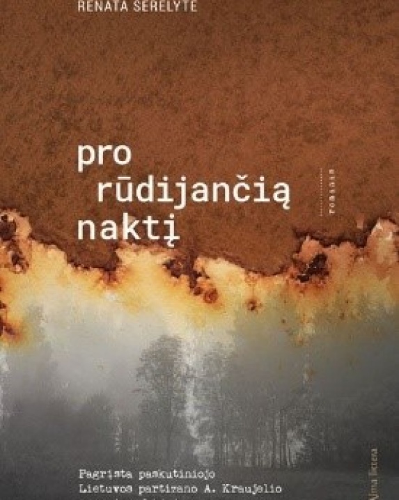 Pro rūdijančią naktį