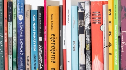 Akcija „Metų knygos rinkimai“