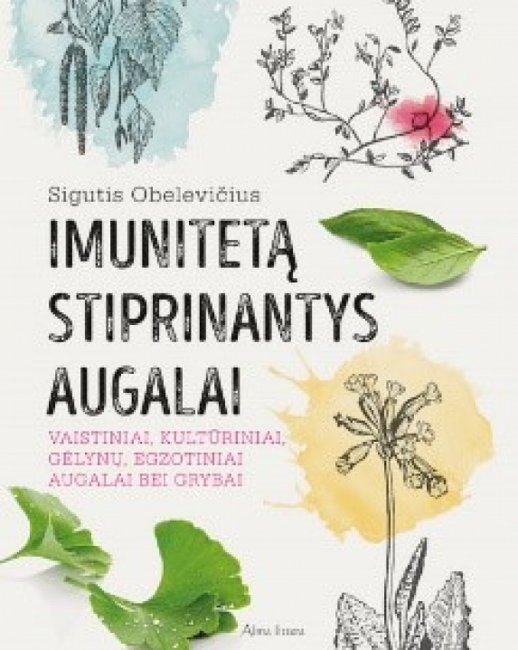 Imunitetą stiprinantys augalai