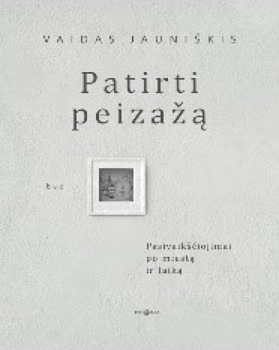 Patirti peizažą