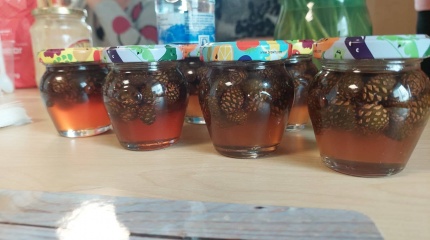 Šeimininkių susitikimas