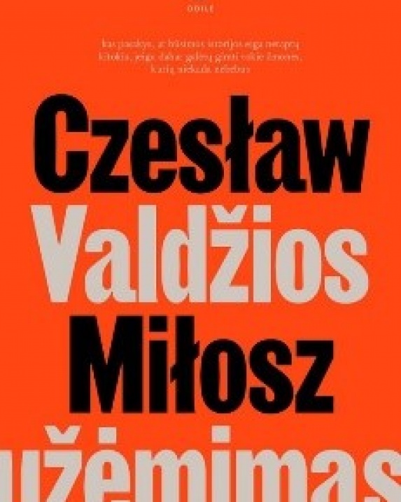 Valdžios užėmimas