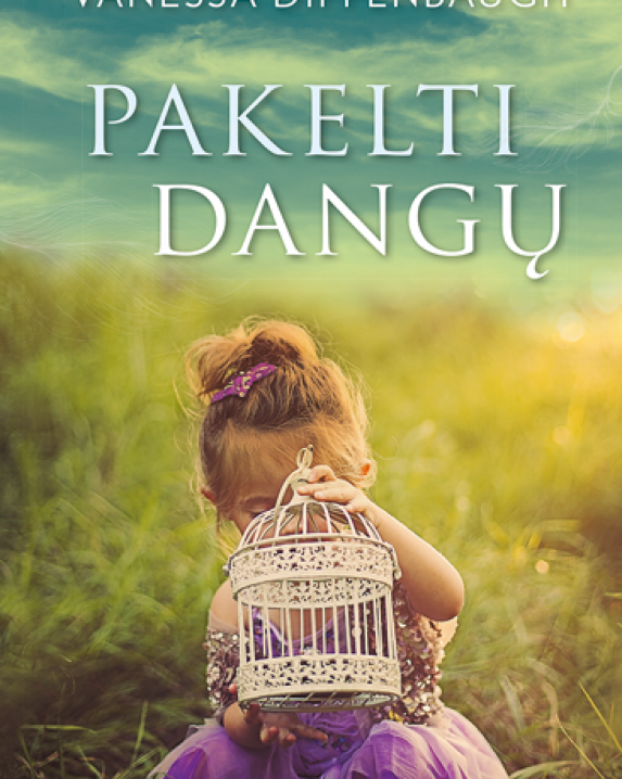 Pakelti dangų 