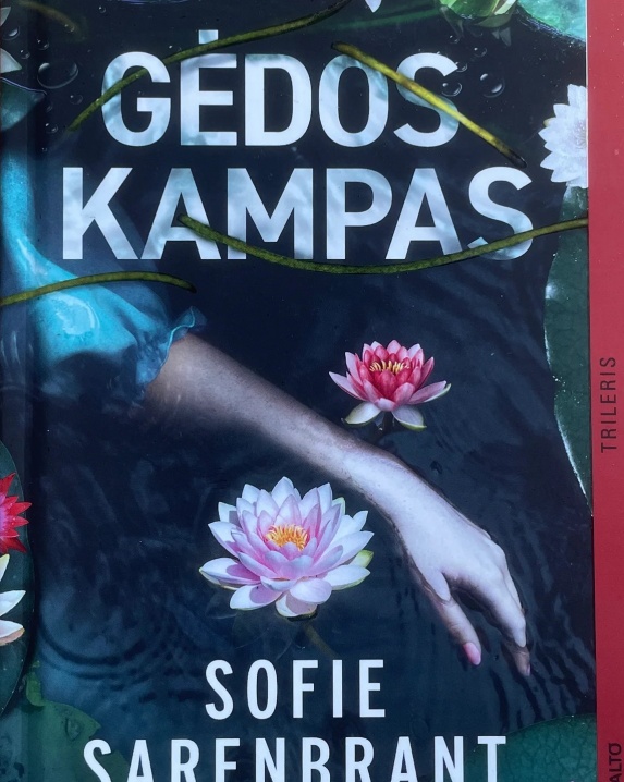 Gėdos kampas 