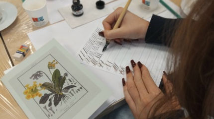 Kaligrafijos edukacija „Plunksna ir Žodis“