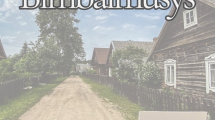 Kviečiame į Sauliaus Baltrūno knygos „Bimbalmūšys“ pristatymą!